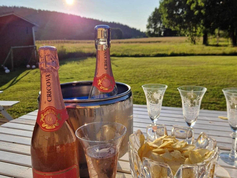 Sverigepremi&auml;r f&ouml;r H&ouml;ga Kusten Brut Roz
